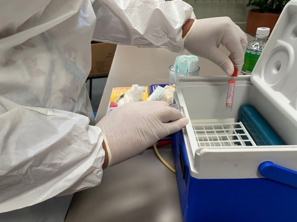 RN tem 81.557 casos confirmados de Covid-19 desde o início da pandemia — Foto: Divulgação/Sesa