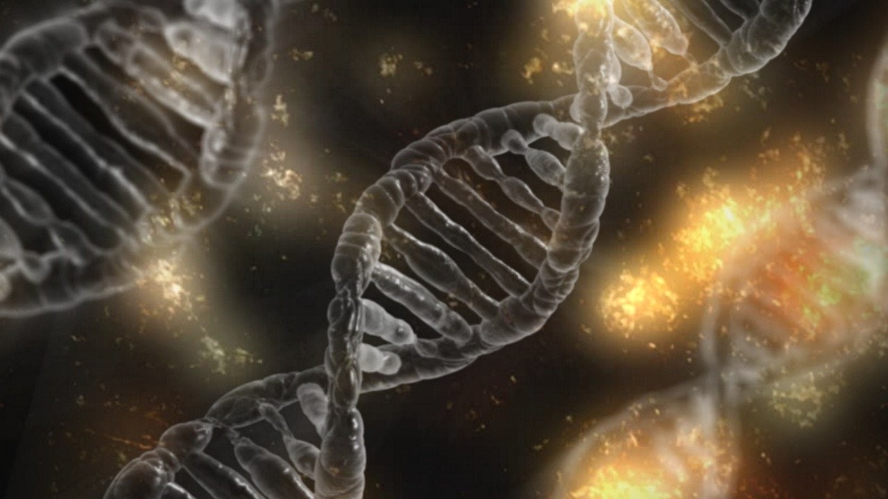 Acima: ilustração da dupla hélice de DNA (Foto: Darwin Laganzon/Pixabay )