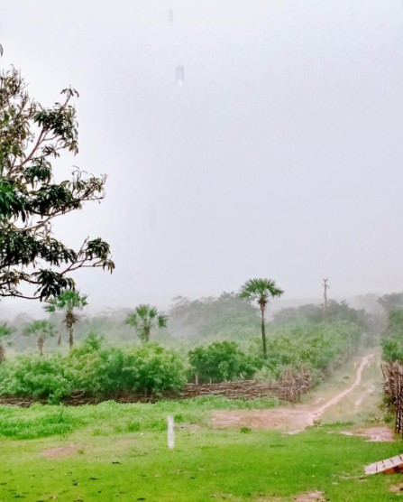 Chove em mais de 50 cidades do Ceará  