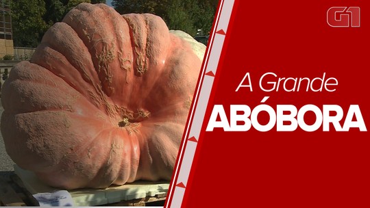 Agricultor colhe abóbora gigante com mais de uma tonelada e vence festival na Alemanha