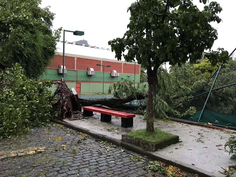 &Aacute;rvore derruba grade e interdita uma das quadras da G&aacute;vea &mdash; Foto: Reprodu&ccedil;&atilde;o / Internet