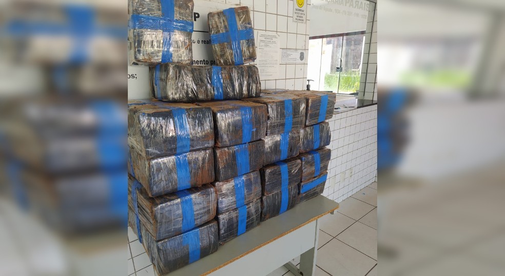 A apreensão ocorreu durante a manhã de domingo (18) — Foto: Polícia Militar Rodoviária