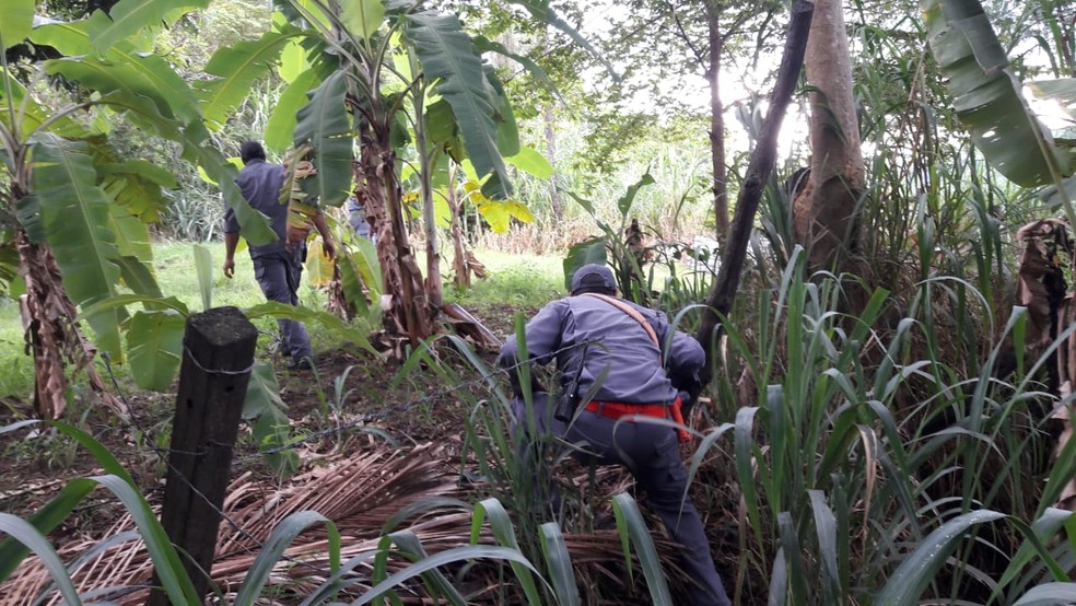 Corpo de Bombeiros encontram corpo de sobrinho de prefeito de Mar?lia em barranco ? Foto: Corpo de Bombeiros/Divulga??o