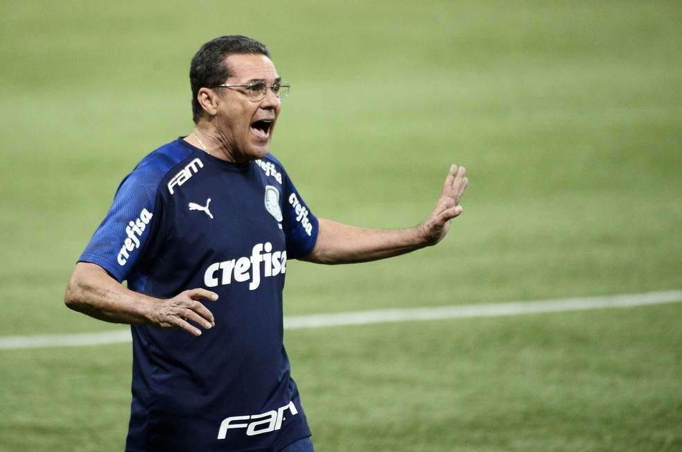 Vanderlei Luxemburgo Palmeiras Coritiba — Foto: Marcos Ribolli