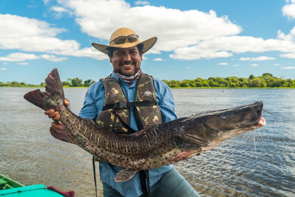 Sérgio Cesar da Silva, pescador profissional há dez anos, mostra um dos pintados que pescou no Rio Paraguai, em Mato Grosso — Foto: Eduardo Palacio/G1
