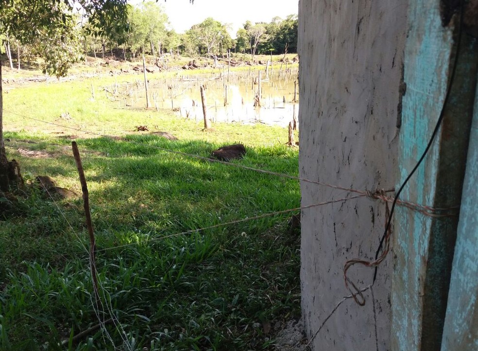 Descarga elÃ©trica aconteceu em uma cerca eletrizada que evitada a entrada de animais na propriedade (Foto: PolÃ­cia Civil/DivulgaÃ§Ã£o)