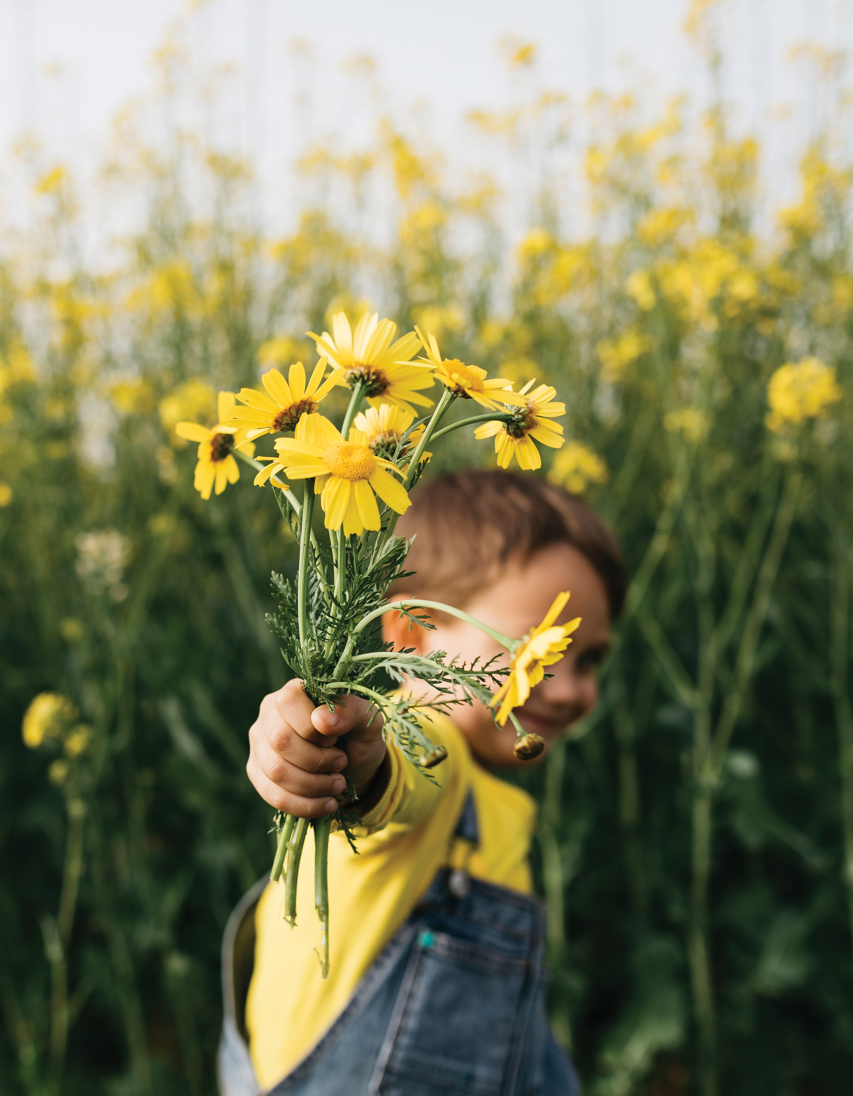 Little boy's hand holding picked yellow flowers in front of rape field (Foto: Getty Images/Westend61)