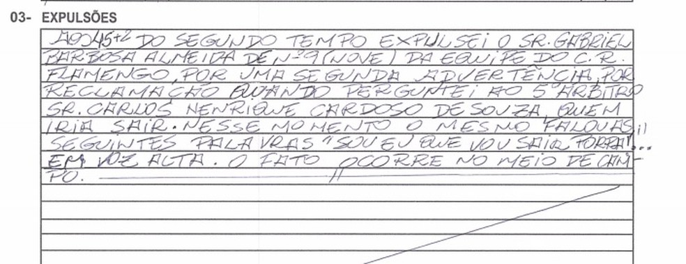 Trecho da súmula onde o árbitro explica a expulsão — Foto: Reprodução