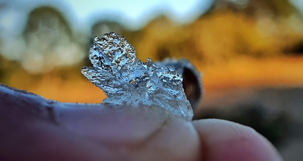Geada foi registrada em São Joaquim no início da manhã — Foto: Mycchel Legnaghi / São Joaquim Online