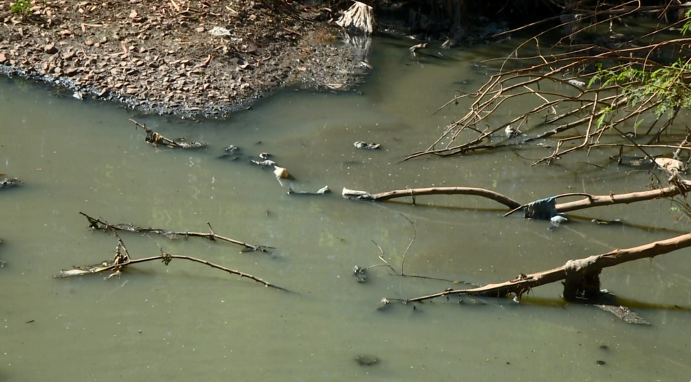 Ambientalista constata presença de esgoto in natura no Ribeirão do Quilombo, em Americana (SP) (Foto: Reprodução/EPTV)