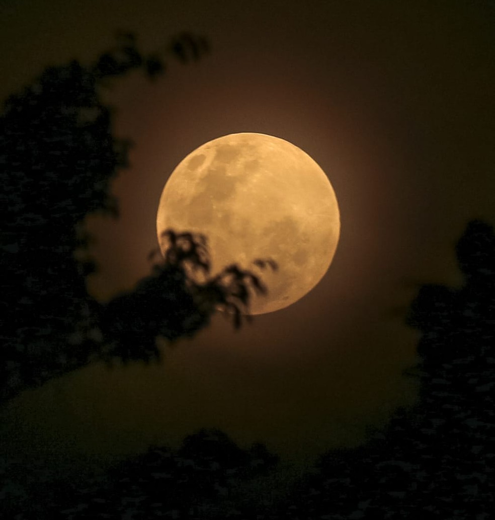 Lua antes do eclipse em Rio Branco, aproximadamente 18h30 (horário local) — Foto: Juan Diaz/Arquivo pessoal