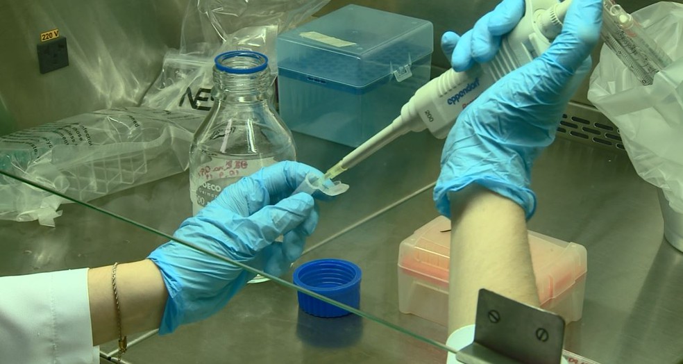 Pesquisa da Unicamp utilizou vírus da zika no tratamento do câncer de próstata — Foto: Reprodução/EPTV