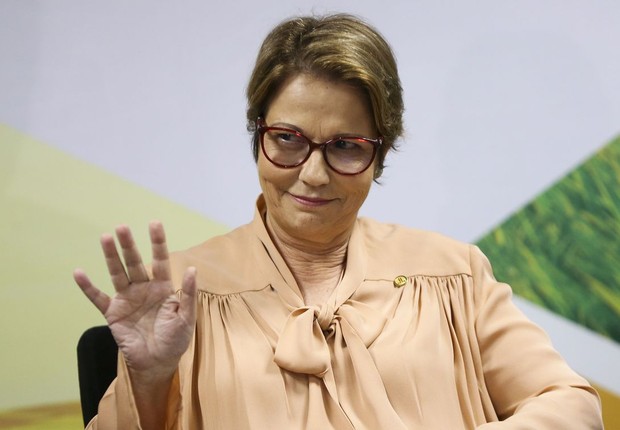 A ministra da Agricultura, Tereza Cristina (Foto: Marcelo Camargo/Agência Brasil )