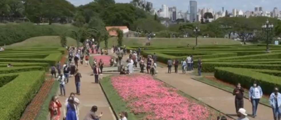 Câmera controla público no Jardim Botânico de Curitiba para evitar  aglomerações | Paraná | G1
