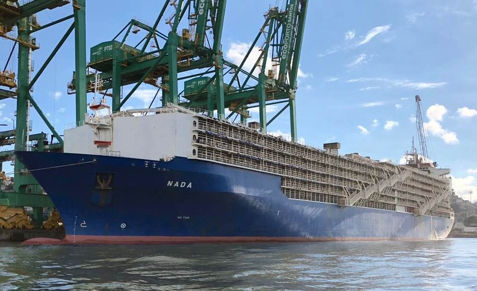 Navio Nada é o maior para bovinos em operação (Foto: Fabio Mello Fontes/Arquivo Pessoal)
