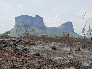 Vegetação foi afetada por incêndio nas proximidades do Morro do Pai Inácio, na Chapada Diamantina. (Foto: Portal Chapada)
