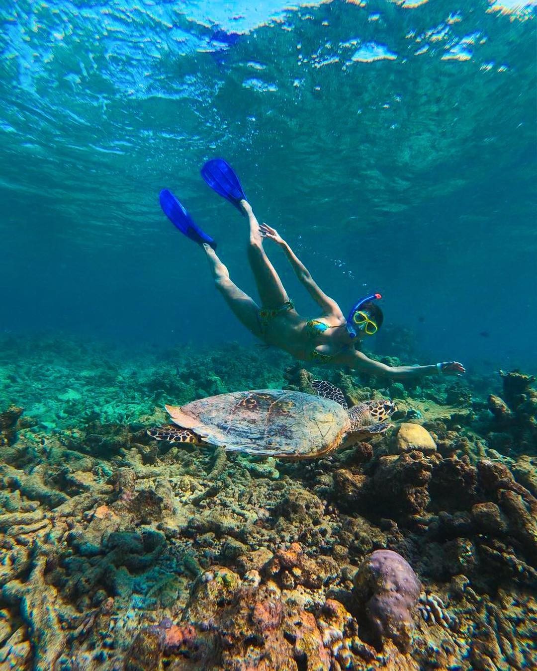 Deborah Secco curte viagem para as Maldivas (Foto: Reprodução/Instagram)