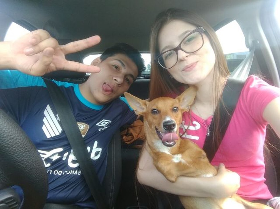 Daniel, Charlie e Stefany — Foto: Divulgação/Stefany de Sá