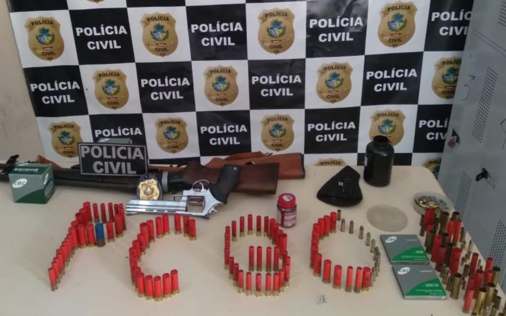 Armas e munições apreendidas pela Polícia Civil em Mineiros, Goiás — Foto: Divulgação/Polícia Civil