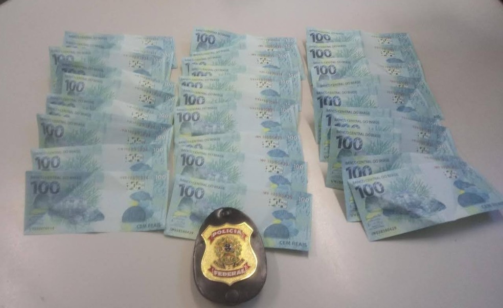 Dinheiro foi apreendido pela Polícia Federal em Rio Preto  — Foto: Divulgação/Polícia Federal de Rio Preto 