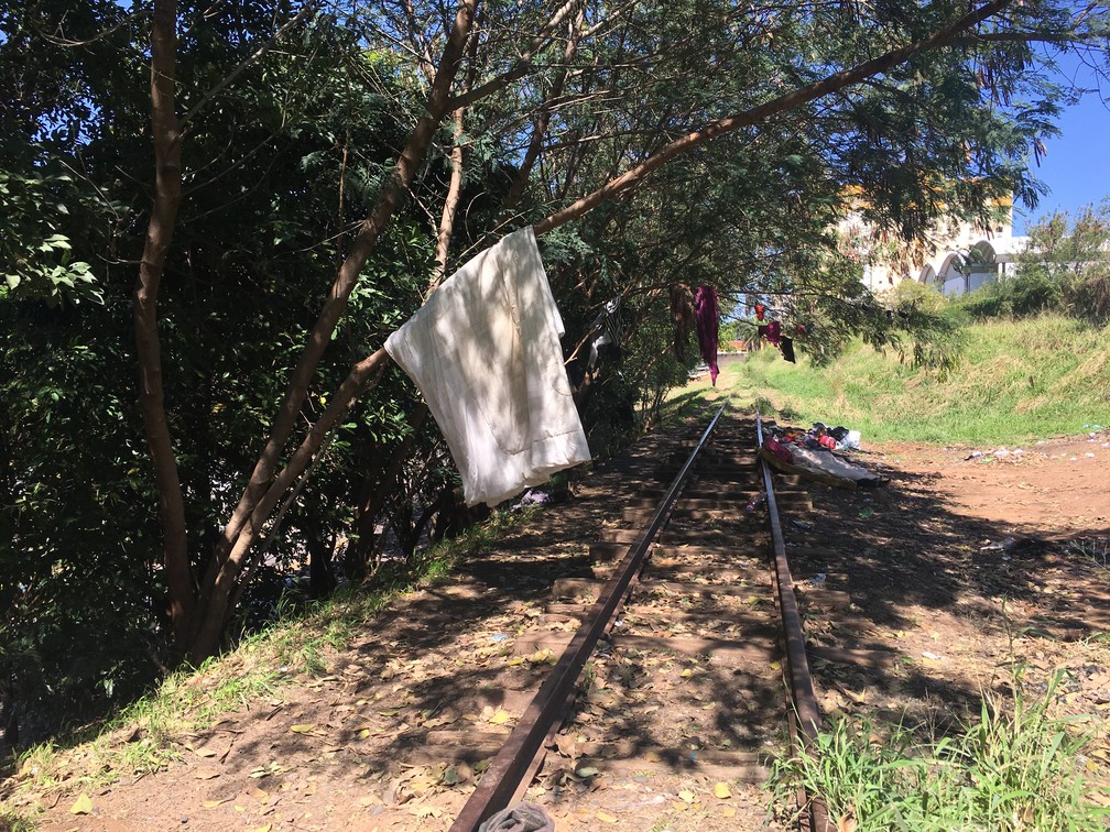 Ferrovia está abandonada na região de Presidente Prudente — Foto: Aline Costa/G1