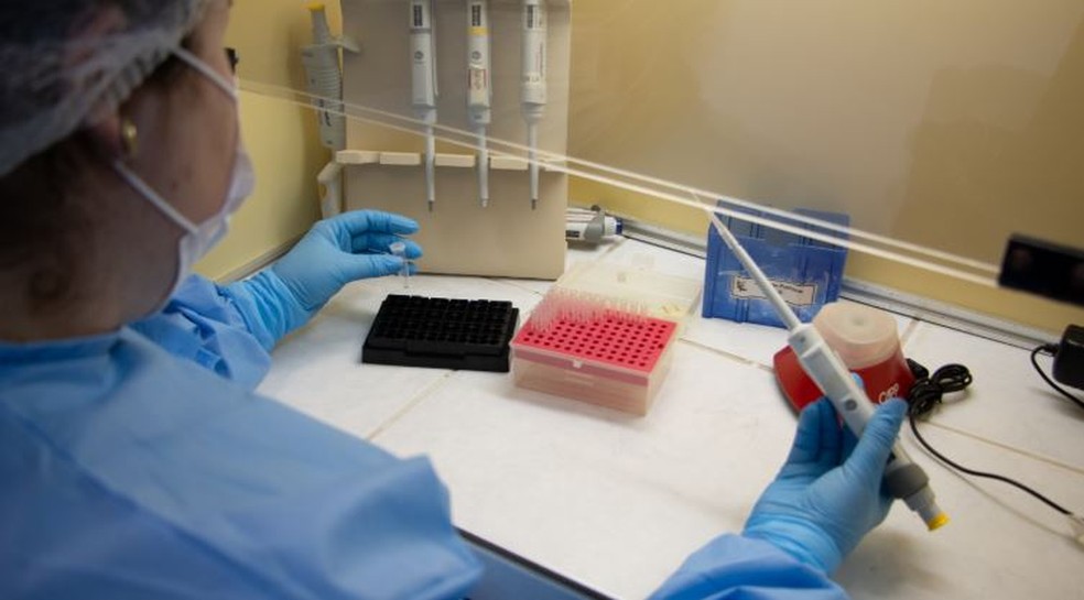 Laboratório de Virologia Aplicada analisa amostras de diversos materiais — Foto: Daiane Mayer/ Agecom/UFSC
