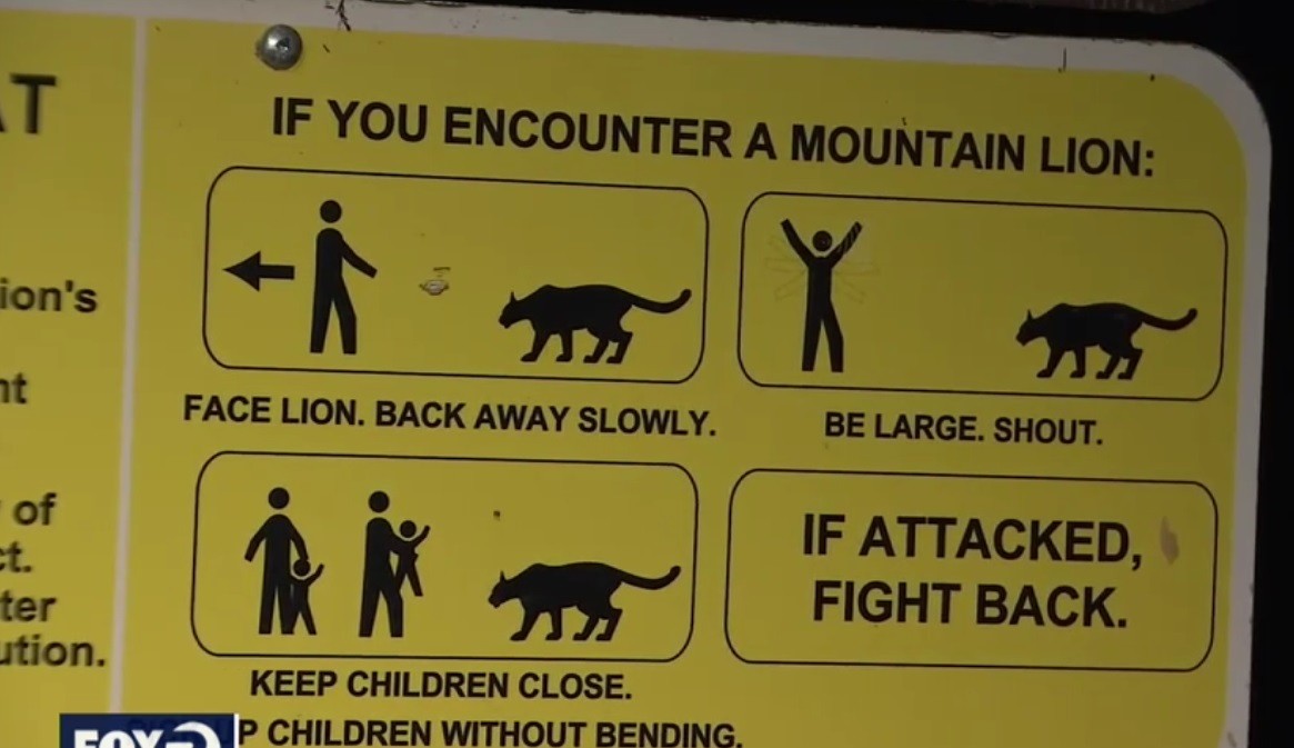 Placas espalhadas pela reserva indicam o que fazer ao encontrar um animal selvagem (Foto: Reprodução/ Fox News)