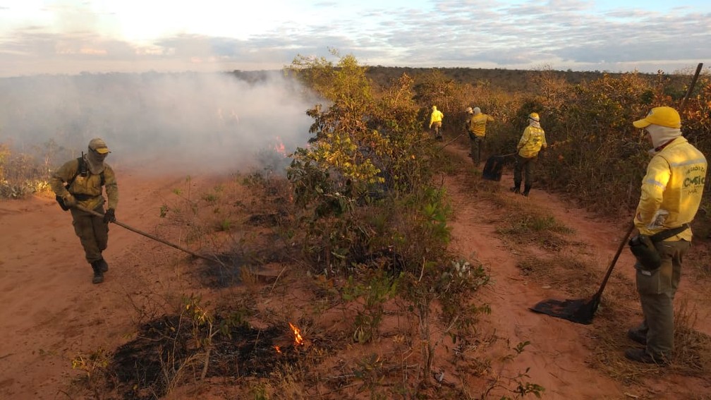 Incêndio atinge Parque Nacional de Chapada dos Guimarães — Foto: Corpo de Bombeiros de Mato Grosso/Assessoria