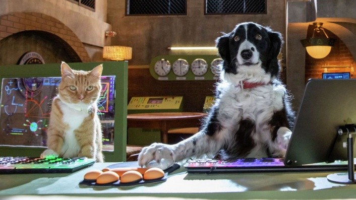 Os protagonistas de 'Cães e Gatos 3' (Foto: Divulgação )
