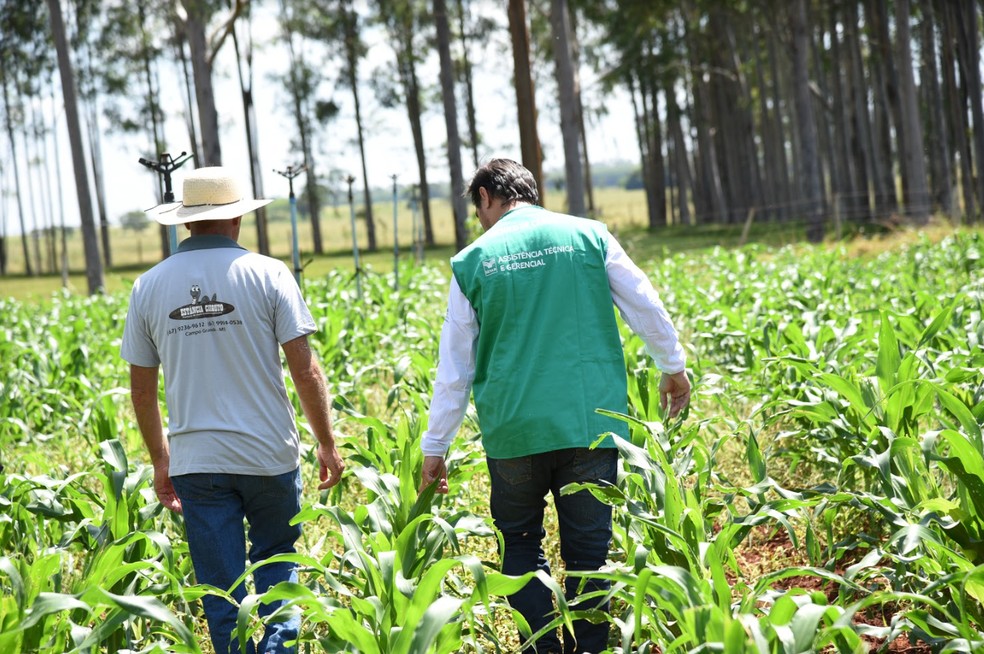 Cursos do Senar/MS promovem qualificação profissional para 15 mil pessoas em MS — Foto: Divulgação