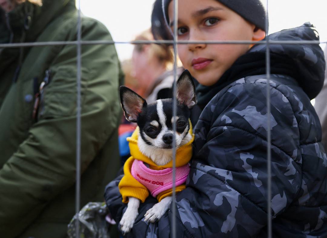 Criança carrega um cachorro enquanto pessoas esperam do lado de fora de um escritório de imigração depois de fugir da Ucrânia, em Bruxelas, Bélgica, nesta segunda-feira (14)