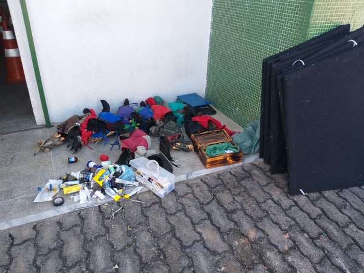 Polícia desativa rinha com mais de 80 galos e aglomeração em Fortaleza - Vimarsana News