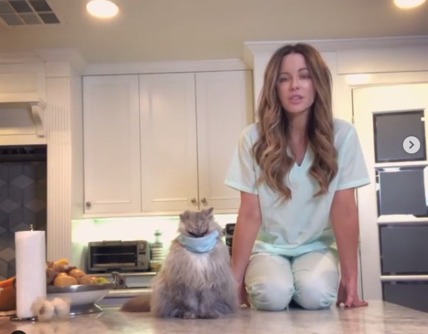 A atriz Kate Beckinsale no vídeo em que aparece com o gato de estimação utilizando uma máscara higiênica (Foto: Instagram)