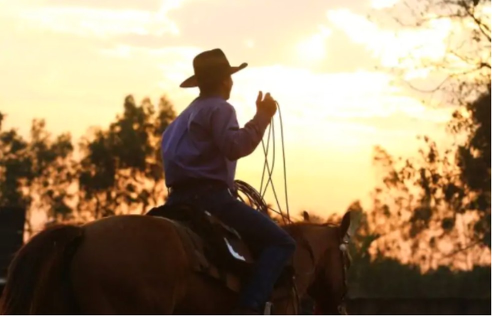 Peão e seu laço em cima do cavalo, protagonistas do 17º Campeonato Nacional do Laço Comprido. — Foto: Reprodução