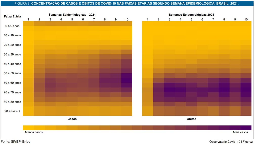 Gráfico em boletim da Fiocruz mostra concentração de casos e mortes por faixa etária — Foto: Reprodução/G1