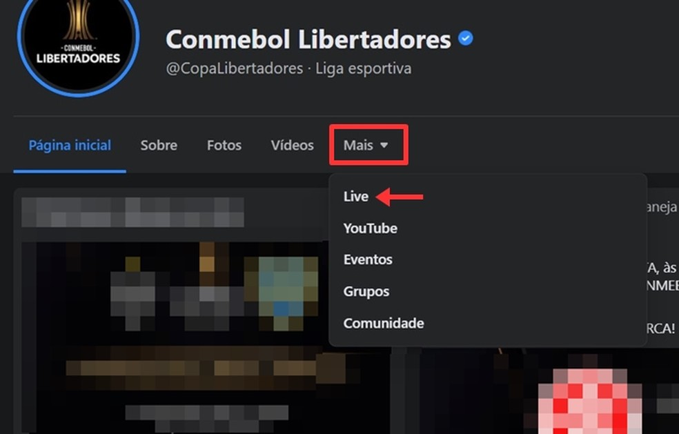 internacional x olimpia ao vivo onde assistir ao jogo da libertadores streaming techtudo