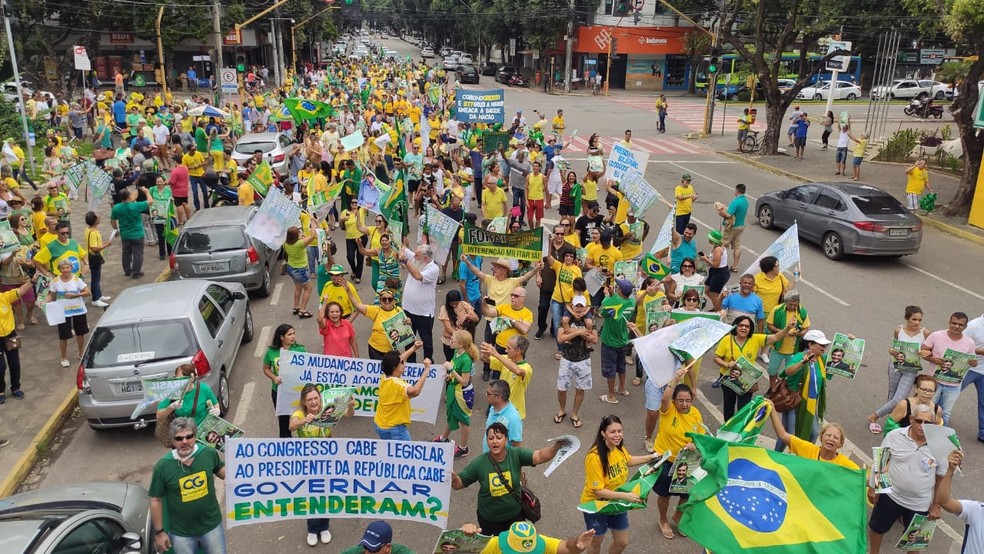 Protesto pró-governo em Governador Valadares - 15/03 — Foto: Sérgio Barros/Arquivo pessoal