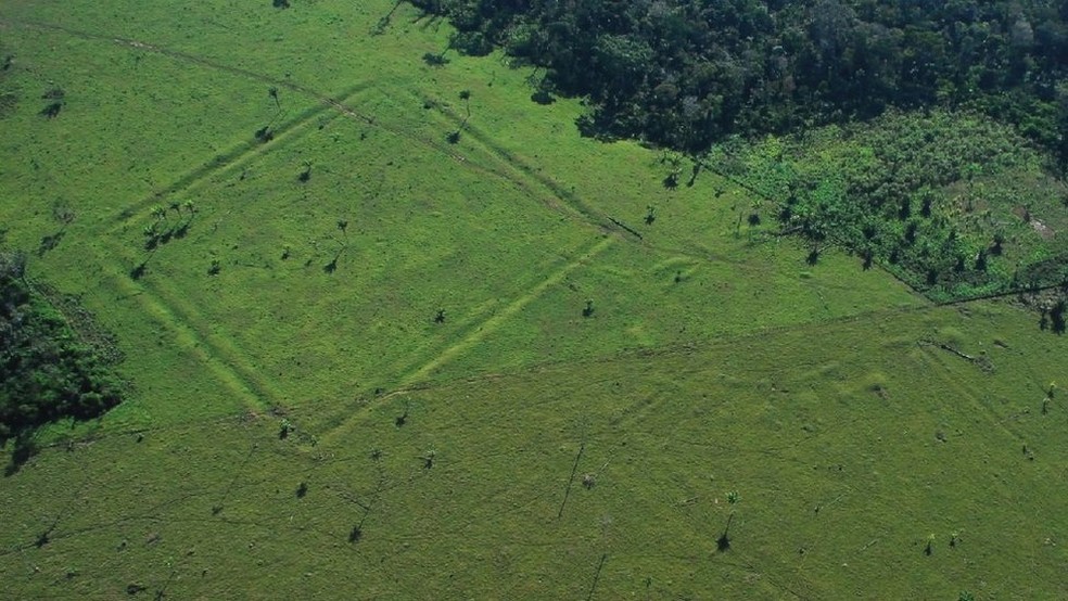 Valas em formatos geométricos chamaram a atenção dos pesquisadores em áreas desmatadas da Amazônia (Foto: University of Exeter)