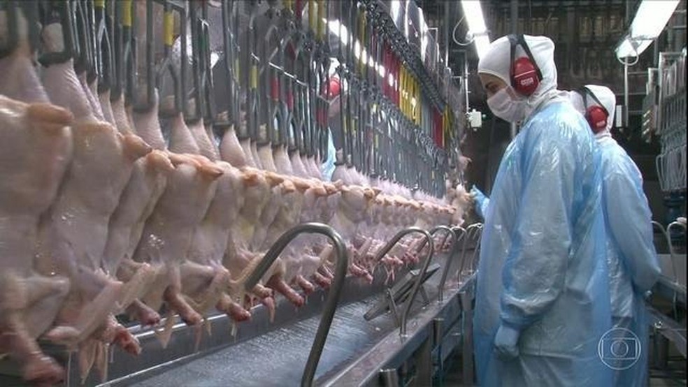 A ArÃ¡bia Saudita Ã© o principal importador de carne de frango brasileira, seguido pela China â Foto: ReproduÃ§Ã£o/TV Globo