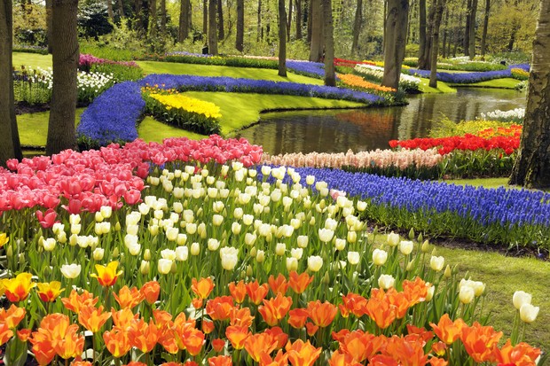 Colorful tulips and other spring flowers in the Keukenhof Gardens, the Netherlands. (Foto: Getty Images)