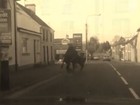 Burros são filmados brigando no meio de rua na Irlanda