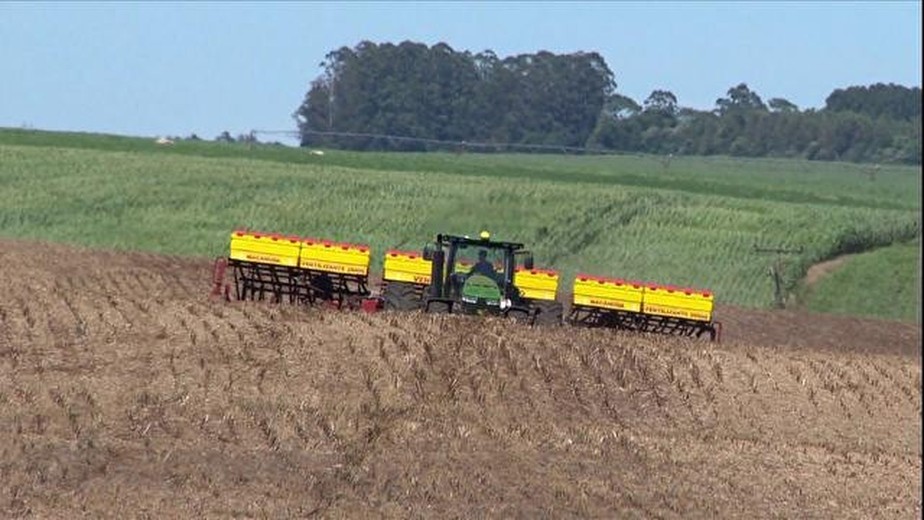 Segundo a Patria AgroNegocios, semeadura de soja está atrasada e relação ao ano passado, mas acima da média dos últimos cinco anos