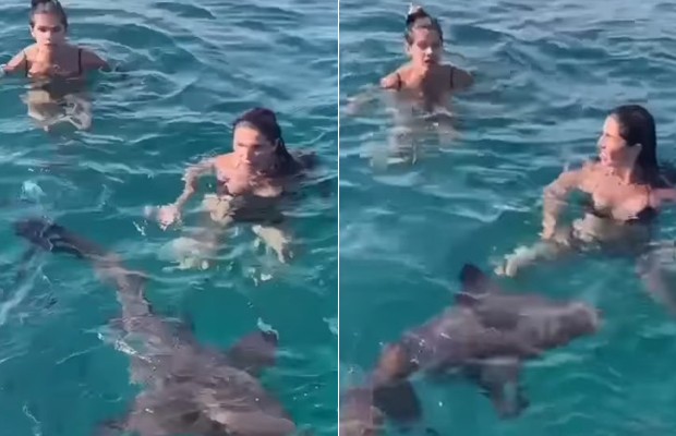 Ingrid Guimarães e Giovanna Antonelli nadam em meio a tubarões em Noronha (Foto: Reprodução/ Instagram)