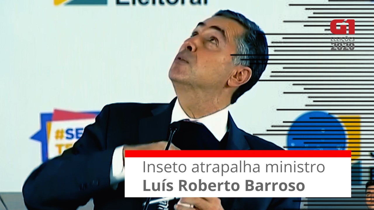 Inseto atrapalha anúncios do ministro Luís Roberto Barroso sobre andamento da votação