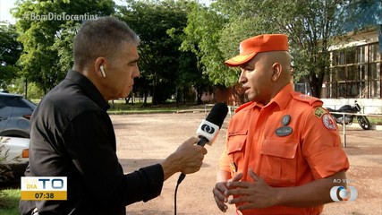 Bombeiro explica a maneira correta de manejar abelhas para evitar acidentes