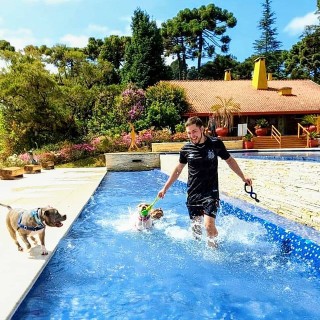 Os animais têm acesso à piscina exclusiva para cães