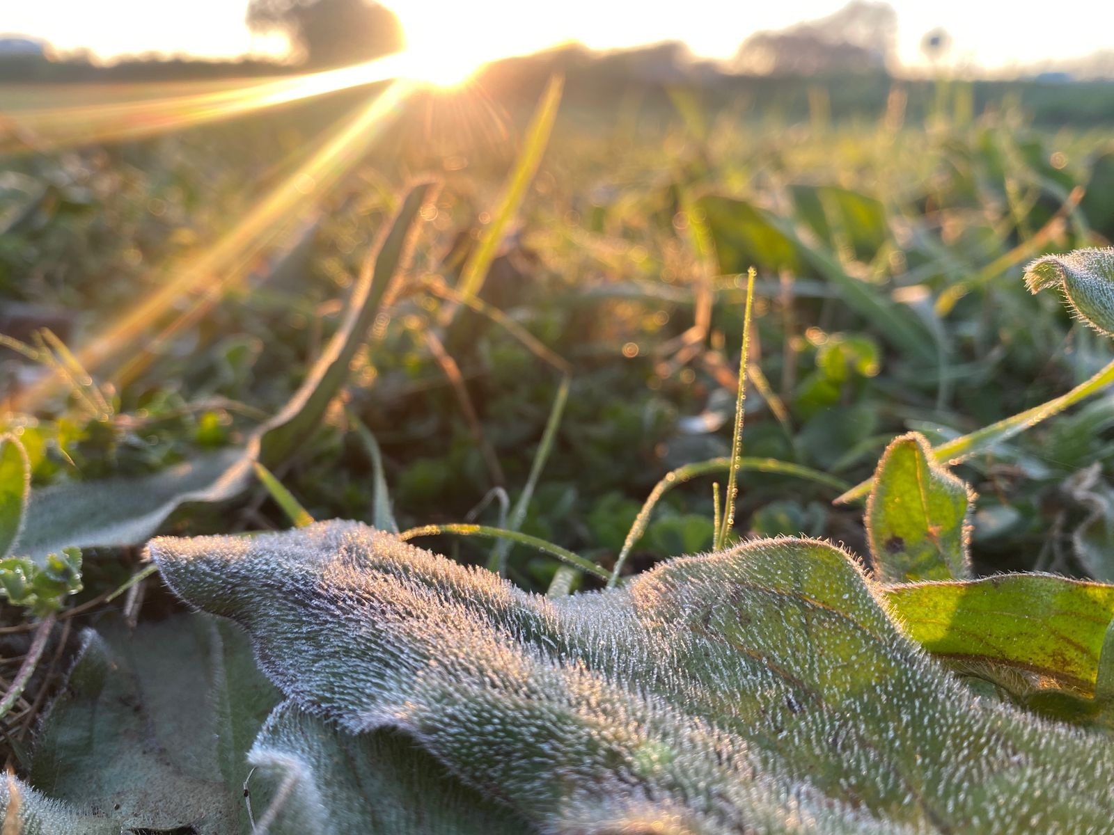 Do frio ao calor: Porto Alegre pode ter variação de 15 graus em um único dia, diz Climatempo