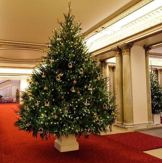Natal 2016: a decoração especial do Buckingham Palace (Foto: Divulgação)