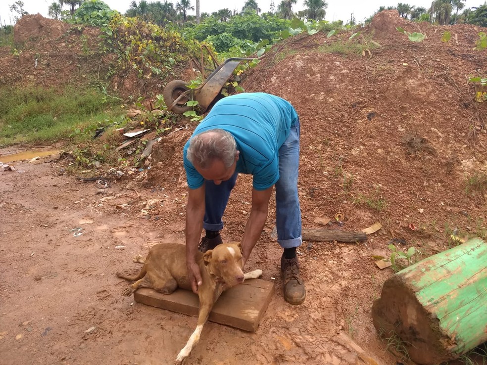 Lindomar Queiroz mudava Foca de lugar algumasvezes durante o dia, mas ele não conseguia levar o cachorro para tratamento e ofereceu para adoção. — Foto: Diêgo Holanda/G1