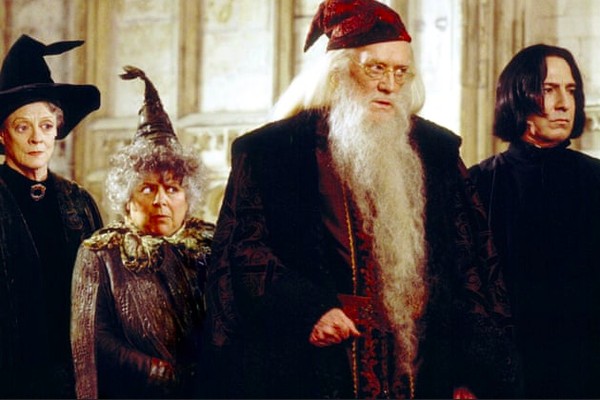 A atriz Miriam Margolyes em cena da franquia Harry Potter (Foto: Reprodução)